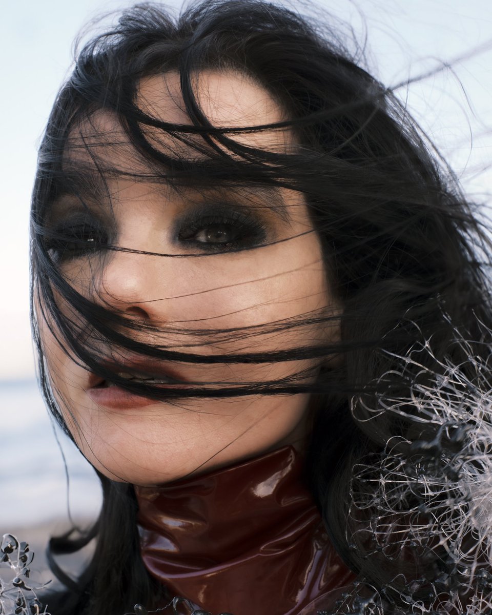 bjork tweet picture