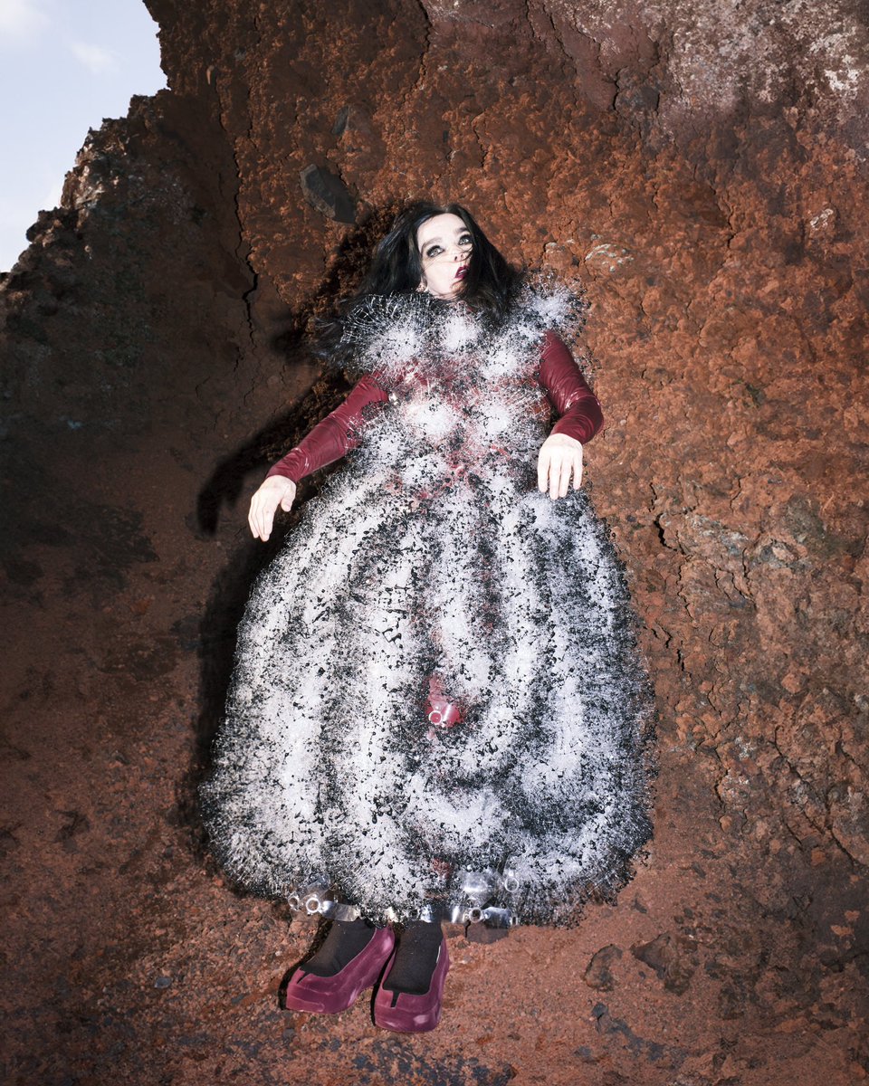 bjork tweet picture