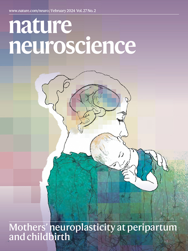 Our February issue is now live! nature.com/neuro/volumes/…