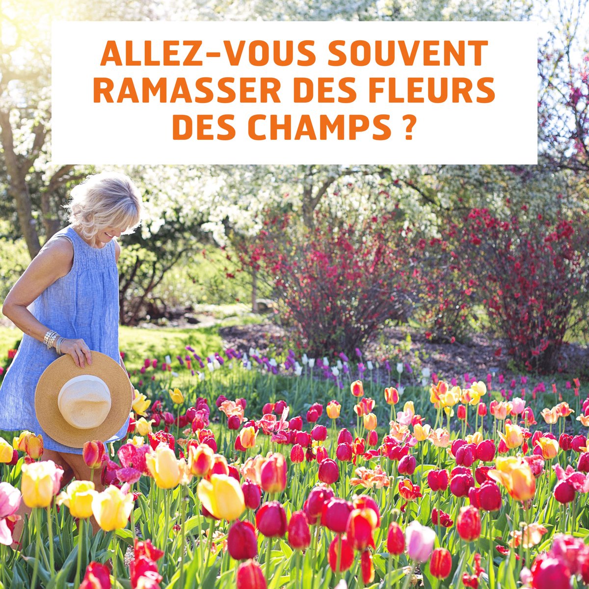 Êtes-vous du genre à partir en quête de trésors fleuris dans les champs ? 🍃 Amoureux de la nature, partagez-nous vos escapades bucoliques ! 🌸

Parfois, un simple bouquet sauvage cueilli dans la nature suffit à apporter une touche de couleur à la maison. 💐
#Fleurs #Nature