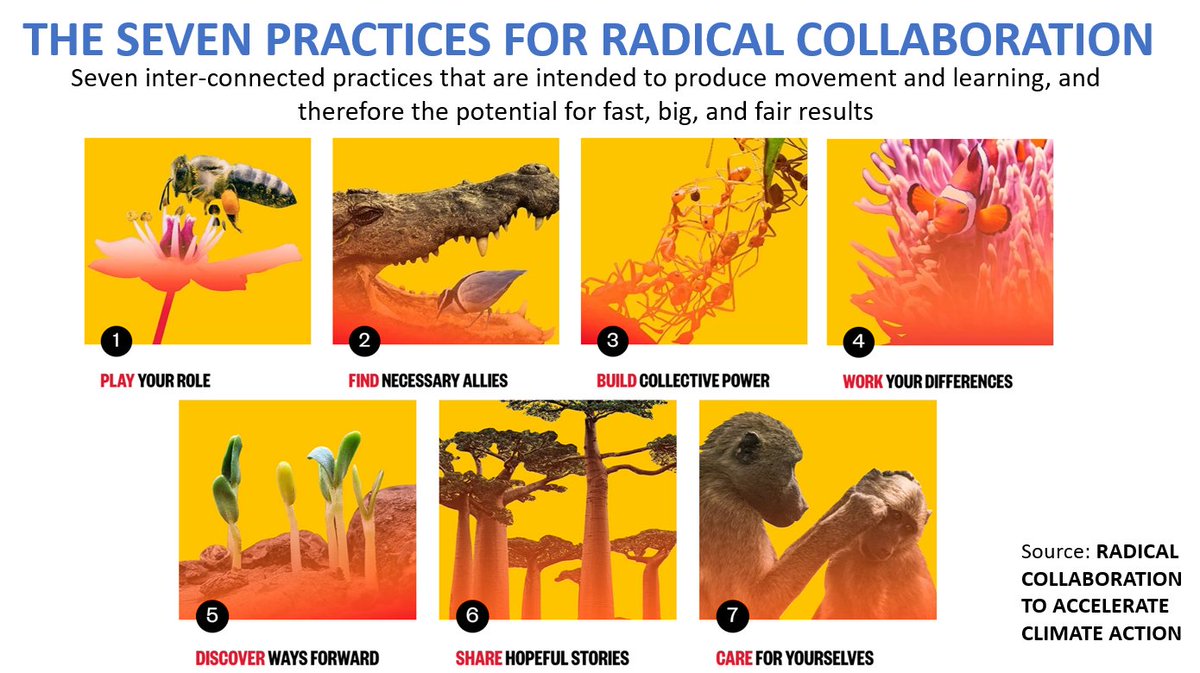 Radical collaboration is about working together with diverse others from across the system in a way that fundamentally transforms that system. It not only focuses on the good & harmony of the whole, but also embraces conflict & power issues. If, as system leaders, we build the