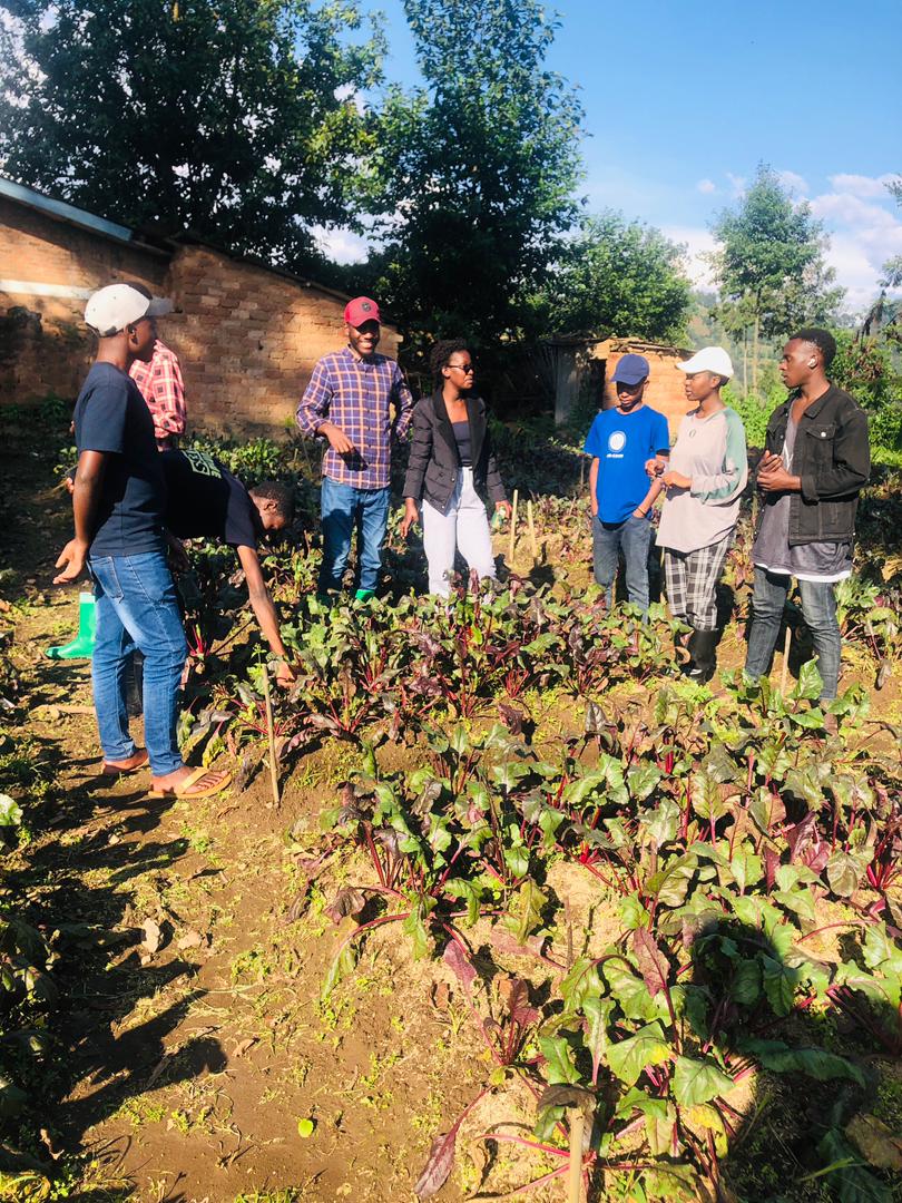 This is how we create new knowledge from research. research about the effects of mulching on beetroots. And it's my noble work 🌾🌴