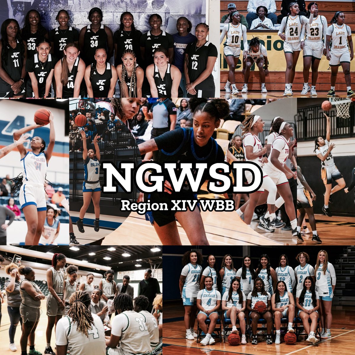 Empowering young women to achieve big dreams- that’s what Region XIV is all about. We are proud to celebrate National Girls and Women in Sports Day. #NGWSD