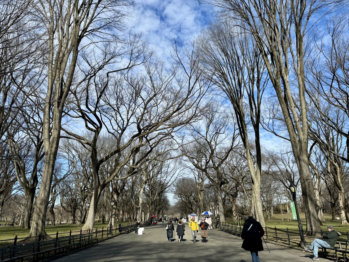 NYCRobyn's tweet photo. #GetOutside gorgeous day in @CentralParkNYC @StormTeam4NY #WellnessMatters @BehindTheBrand @FBNYC #WednesdayMotivation #mynewyork https://t.co/vxRnnRWKT7