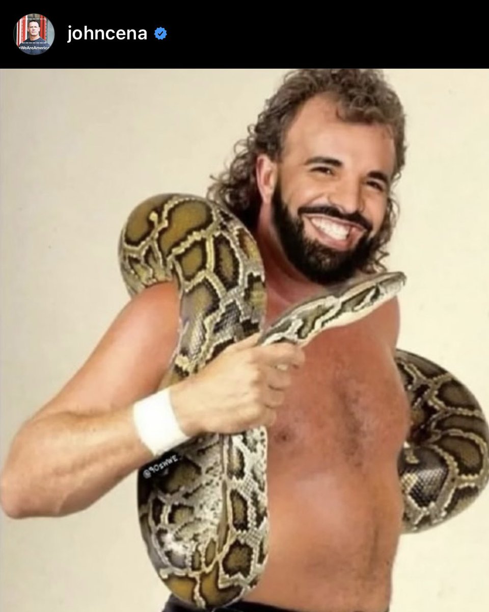 John Cena wild for this 😭