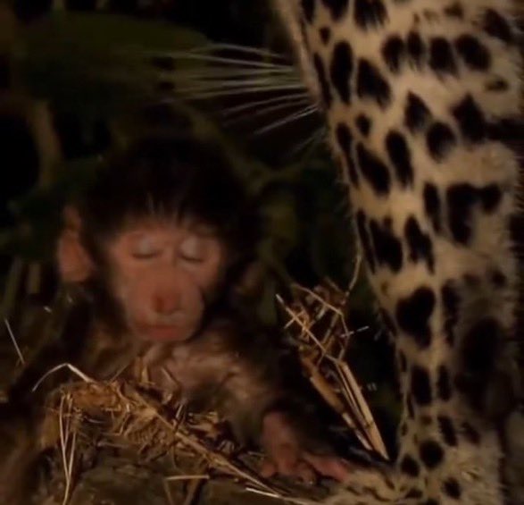 Stunna (@ayexstunna) on Twitter photo 