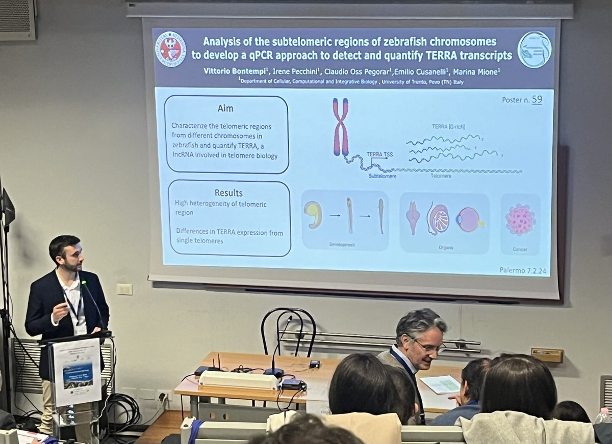 LabMione_Cibio's tweet photo. Last but not least of today @vittorioBontemp presented his flash talk followed by the poster. 
Congrats vitto! 

#IZM2024 #zebrafish https://t.co/MJwYbOfkiL