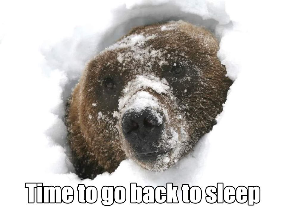 BearPosting's tweet photo. It will be spring soon. https://t.co/PmuNNZb7n2