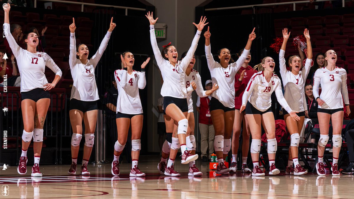 StanfordWVB tweet picture