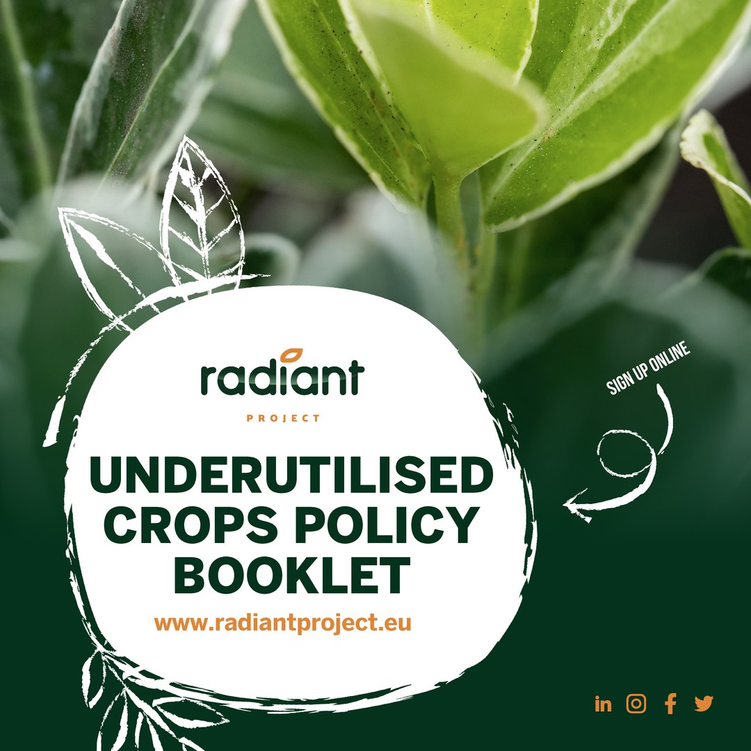 Don’t miss this chance to stay updated on Underutilised Crops Policy! We’ve compiled an e-booklet with everything you always wanted to know about this fascinating subject. Read it now: swki.me/3Urecoyk #RADIANT #Ebooklet #UnderutilisedCropsPolicy