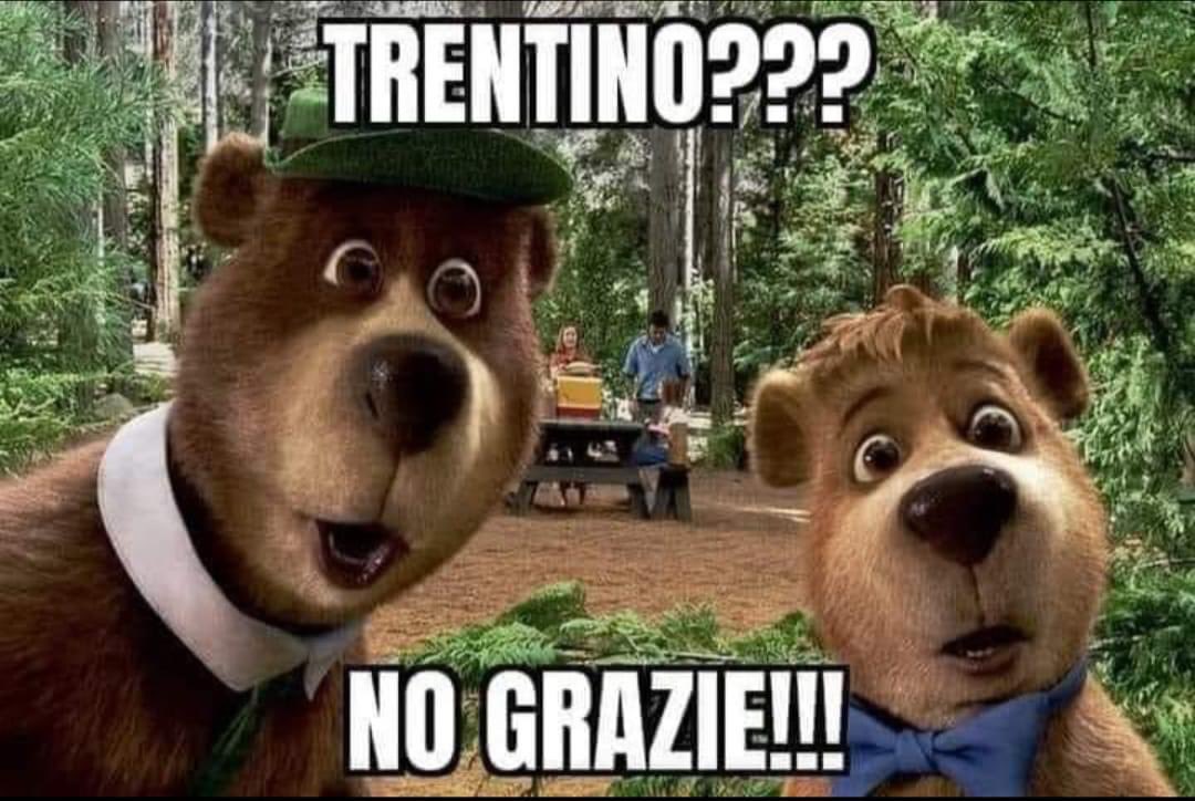 NccTao's tweet photo. Trentino vergogna italiana https://t.co/qSk4A0ajQz