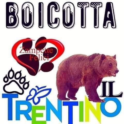 NccTao's tweet photo. Trentino vergogna italiana https://t.co/qSk4A0ajQz