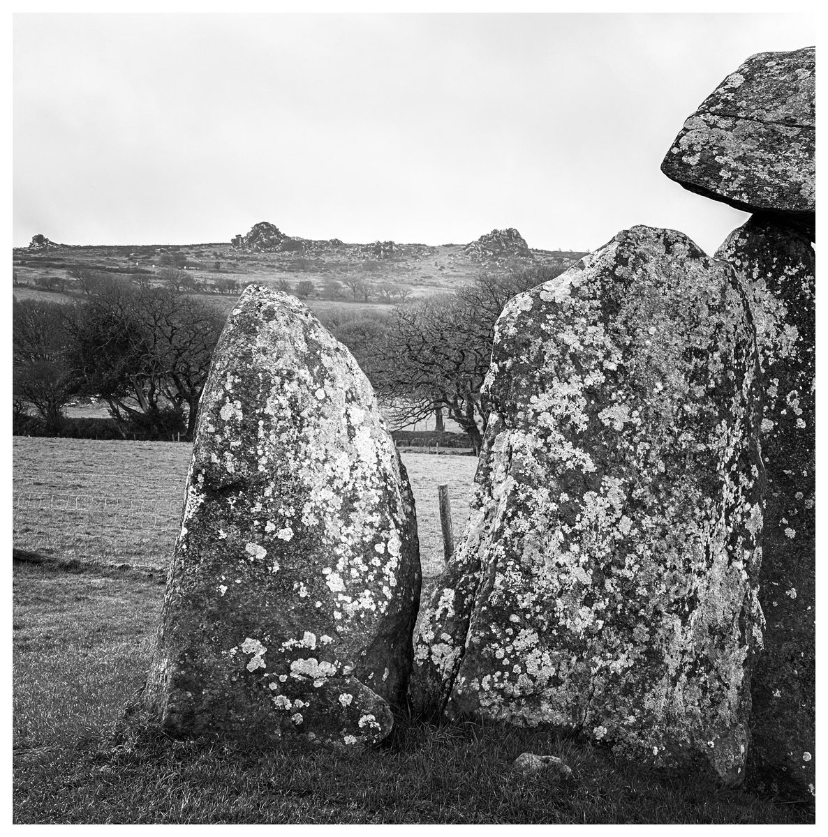Cerrig / Stones #PentreIfan #SirBenfro #Pembrokeshire #Cymru #Wales