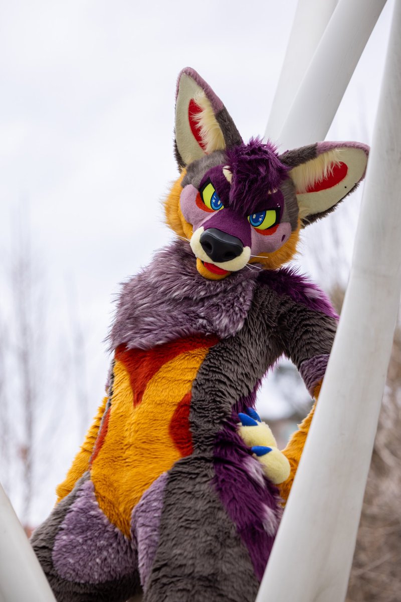 Altitude is attitude ⚠️🆙 
#PNWorksWednesday

📸: <a href="/gryphonfluff/">Robert</a> 
🪡: <a href="/PNWorks/">↠ Pin & Needle Works ↞</a>