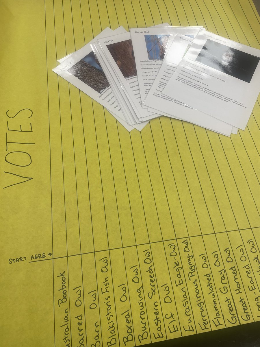 Meghan Campion tweet media