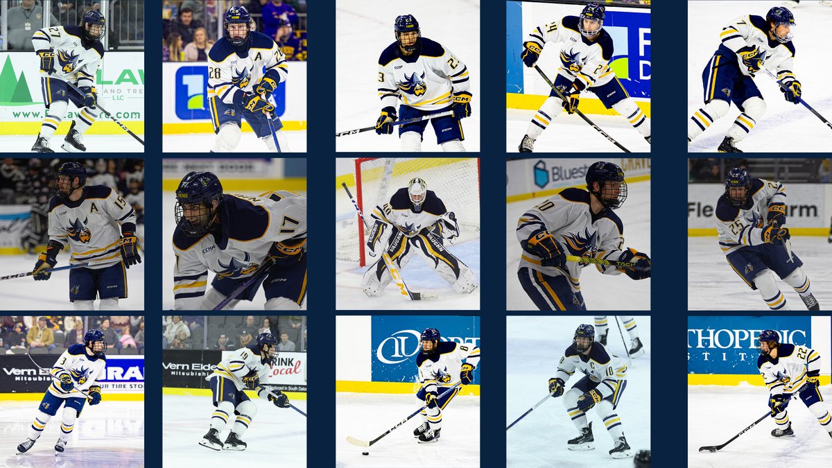 15 Vikings named to CCHA All-Academic team 📚

10 Vikings earn Scholar-Athlete Team honors ‼️

Full Story ➡️ bit.ly/3SOF9Bg

#WeHoldThePen | #Classroom