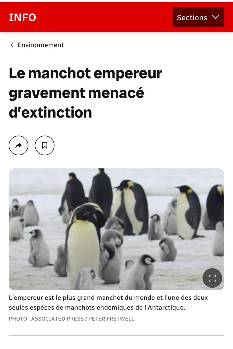 [CHOC] 🐧 … 🐙