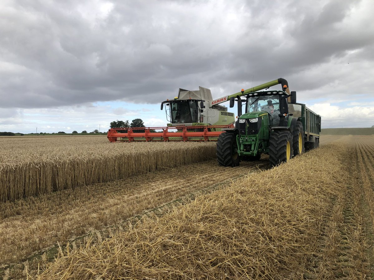 Ed Dowler tweet media