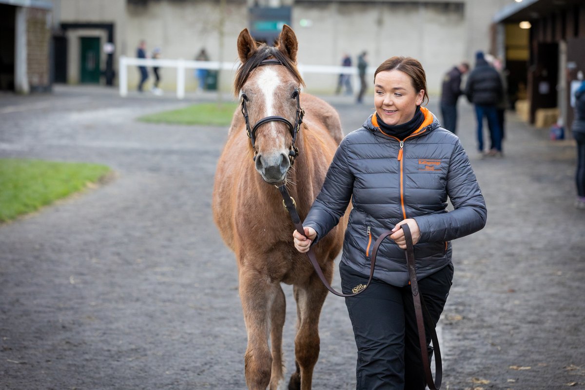 'Everyone you wanted to see come to the door did, and the feedback was so positive. When you have a horse that is bought by judges like the O'Callaghans then you know that you have something special.' Goffs' 2024 sales season is under way 👉bit.ly/3SuBtDu