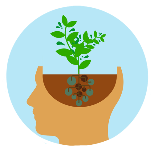 AllenCoaches's tweet photo. How do you cultivate resilience, perseverance, and a positive attitude towards learning?💡 #teachers #educators #learninganddevelopment   #growthmindset https://t.co/FCNcXE5O7R