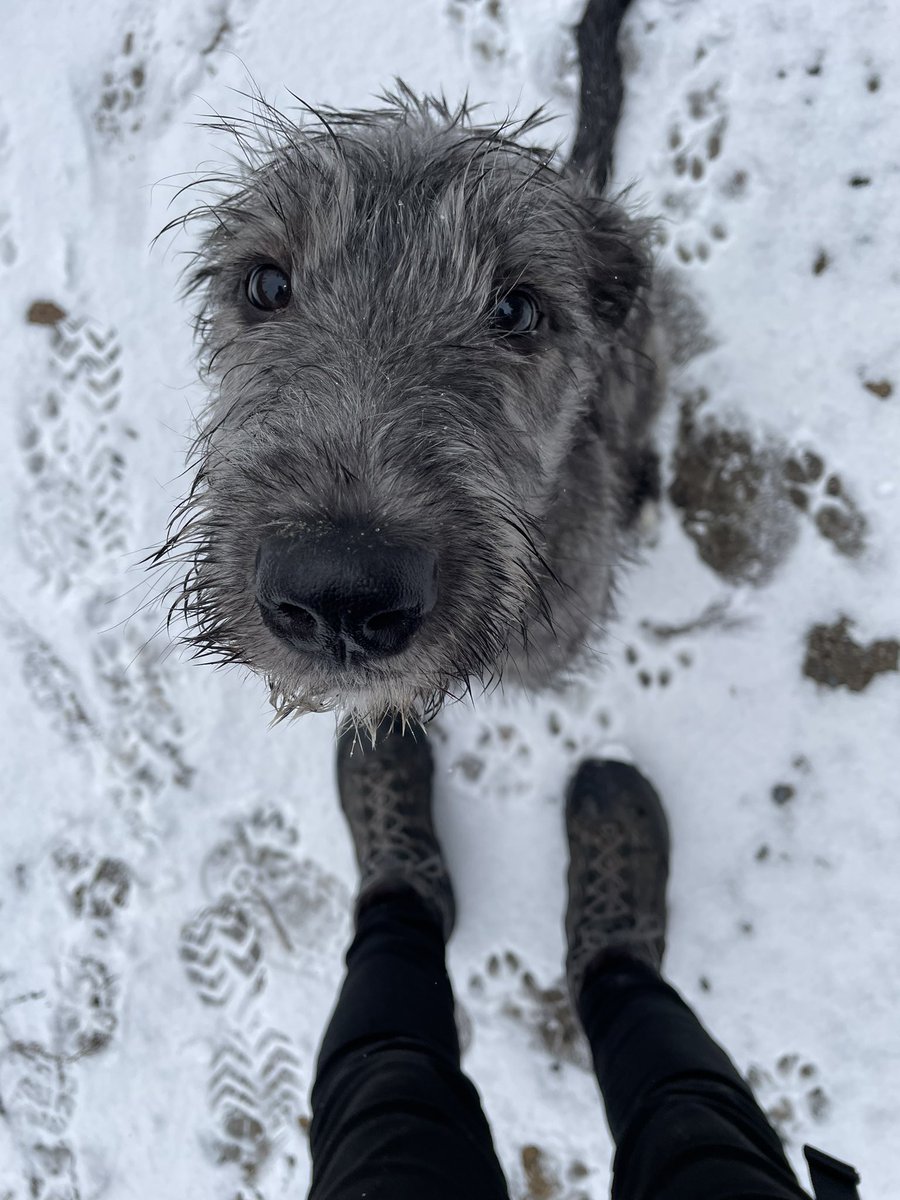 IMPORTANT NEWS FLASH!! There is this thing, it’s apparently called snow, and it’s basically the best. In case you had not heard of it before.
—crowley