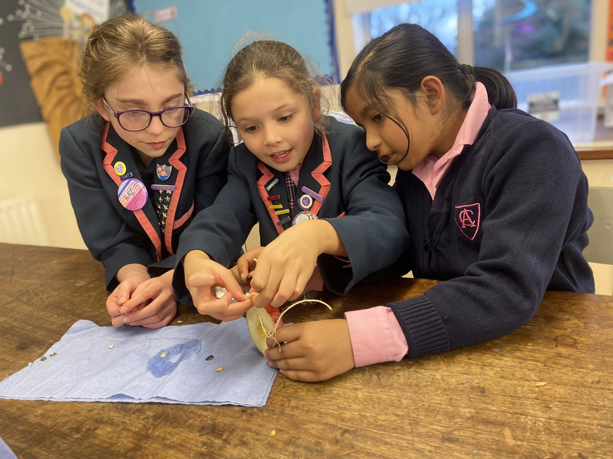 AlleynCourtSci's tweet photo. Science club made bird feeders this week. We’re hoping to temp even more wonderful birds into our school grounds for the @Natures_Voice RSPB Big Schools’ Birdwatch later week @RSPB_Learning #BigSchoolsBirdwatch 🦅 🐦 #AlleynCourtScienceClub #AlleynCourtScience https://t.co/4aZebQmM0D