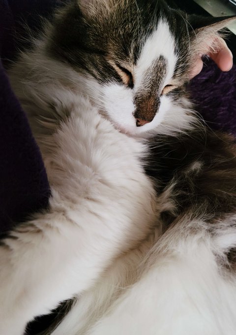 Staying in + offline as my head + face heal after getting to travel, hug, film (@girlbotDiv stuff) with