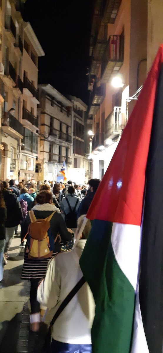 CUPEbre's tweet photo. Més de 300 persones de les #TerresdelEbre hem sortit açs carrers de #Tortosa contra el genocidi a Palestina!!!  
Contra l'apartheid, la neteja ètnica i el genocidi que està portant a terme Israel, seguirem mobilitzades!
#7FPalestina
#FreePalestine https://t.co/sQoEkItTHq