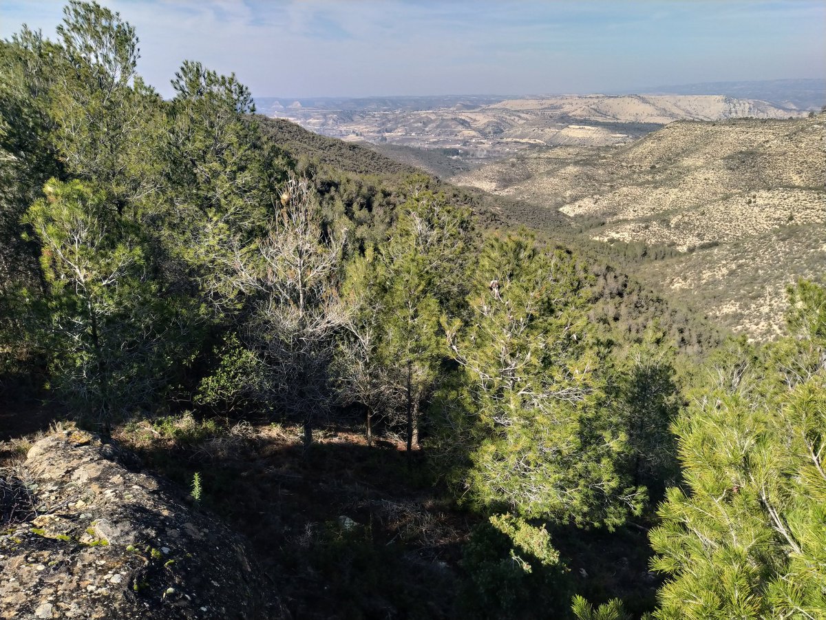 Incendi de Nonasp del 94