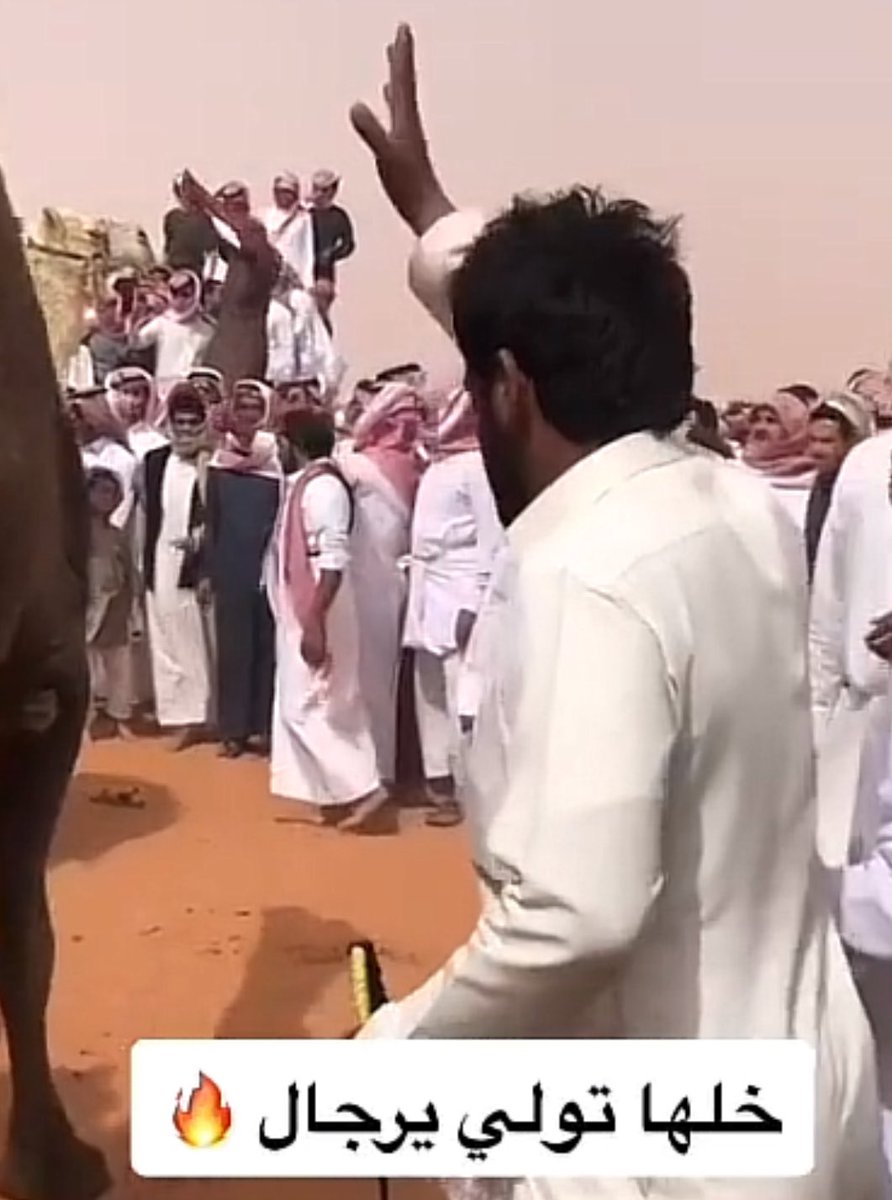 باع بن لبدان من الفرديات
باع العمور من الفرديات
باع بن سويد من الفرديات
باع بن كليفيخ من الفرديات
باع الشريع من الفرديات
باع فهد غازي من الفرديات
باع احمد قعيد من نوادر ابله
باع الفصام نوادر انتاجه
باع المهيدب المنقية
باع بن رفعان المنقية
باع بن شامان المنقية
باع عمير من ابله
.
.