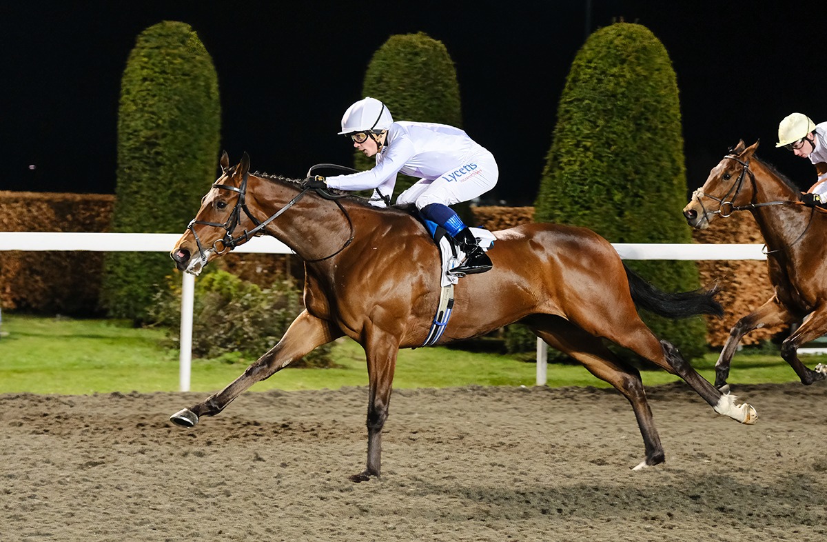 🗞️ NEWSREADER 🗞️ 🏆 WINS AGAIN 🏆 Making that his 2nd Win this year already 👏 @kemptonparkrace ridden by Benoit De La Sayette ⭐ Congratulations to Winning Owners The News Team 🥂⭐
