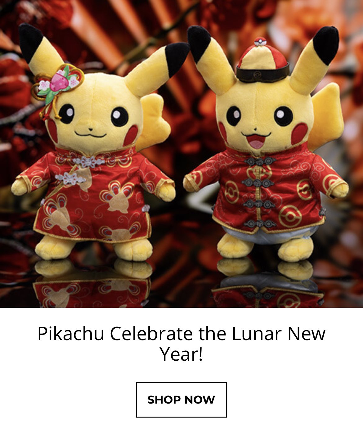 【おすすめ】 モンスターコレクション Wゲット サワムラー ＆ エビワラー 52 ポケットモンスター