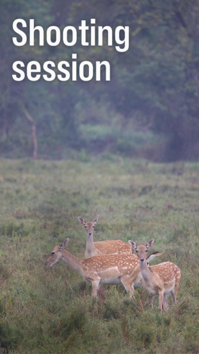 youtube.com/shorts/o2iT0jb…