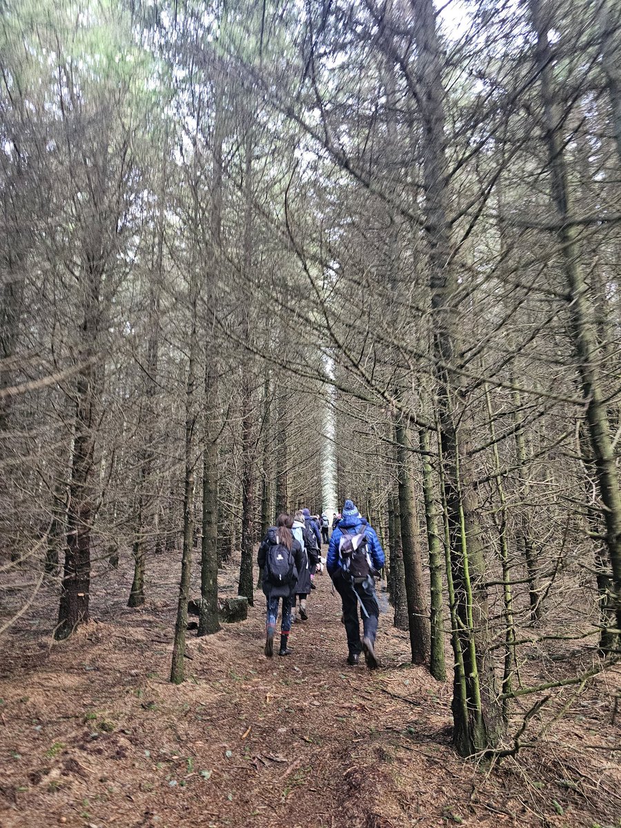 Project Fit Preston tweet media