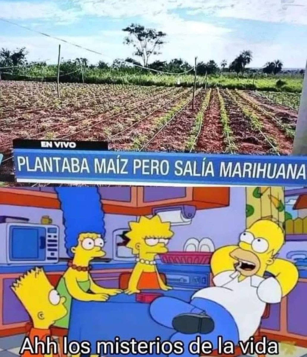 Vaya, vaya
👻