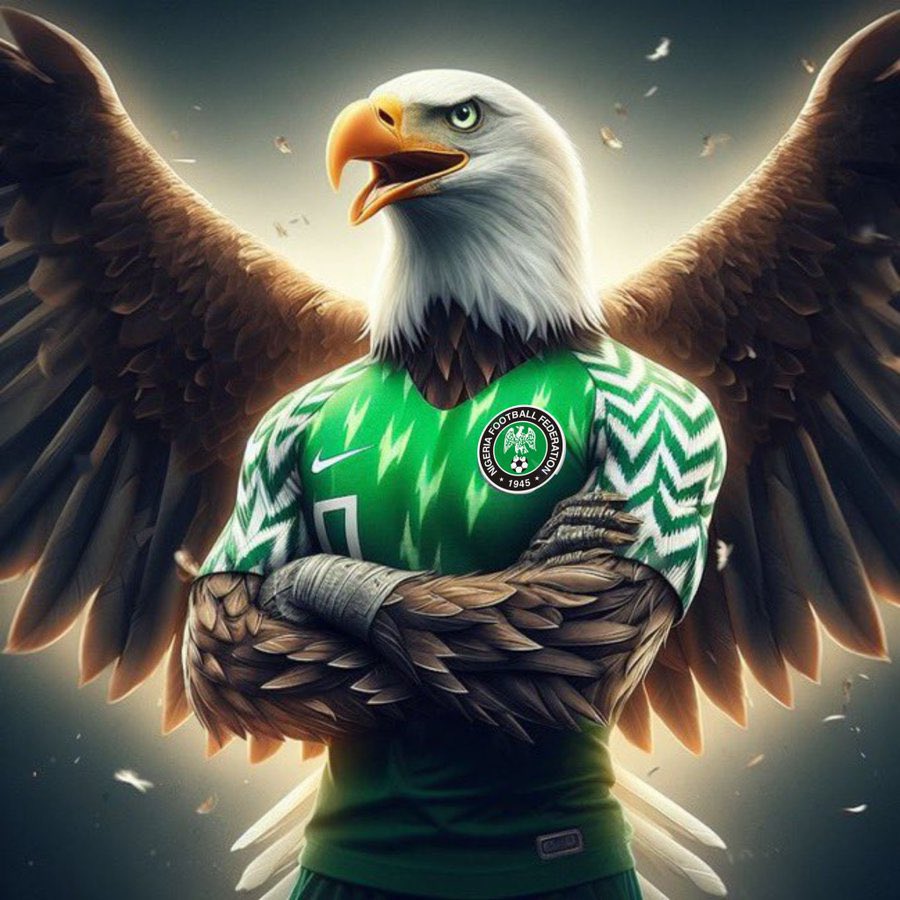 #NGARSA 
#AFCON2023 
Eagles have fry the banana
