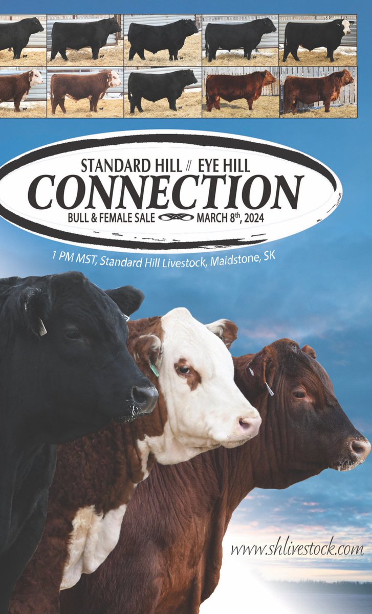 Standard Hill-SMyer tweet media