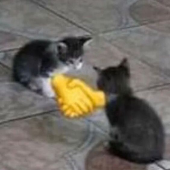 Aitor🦇 tweet media