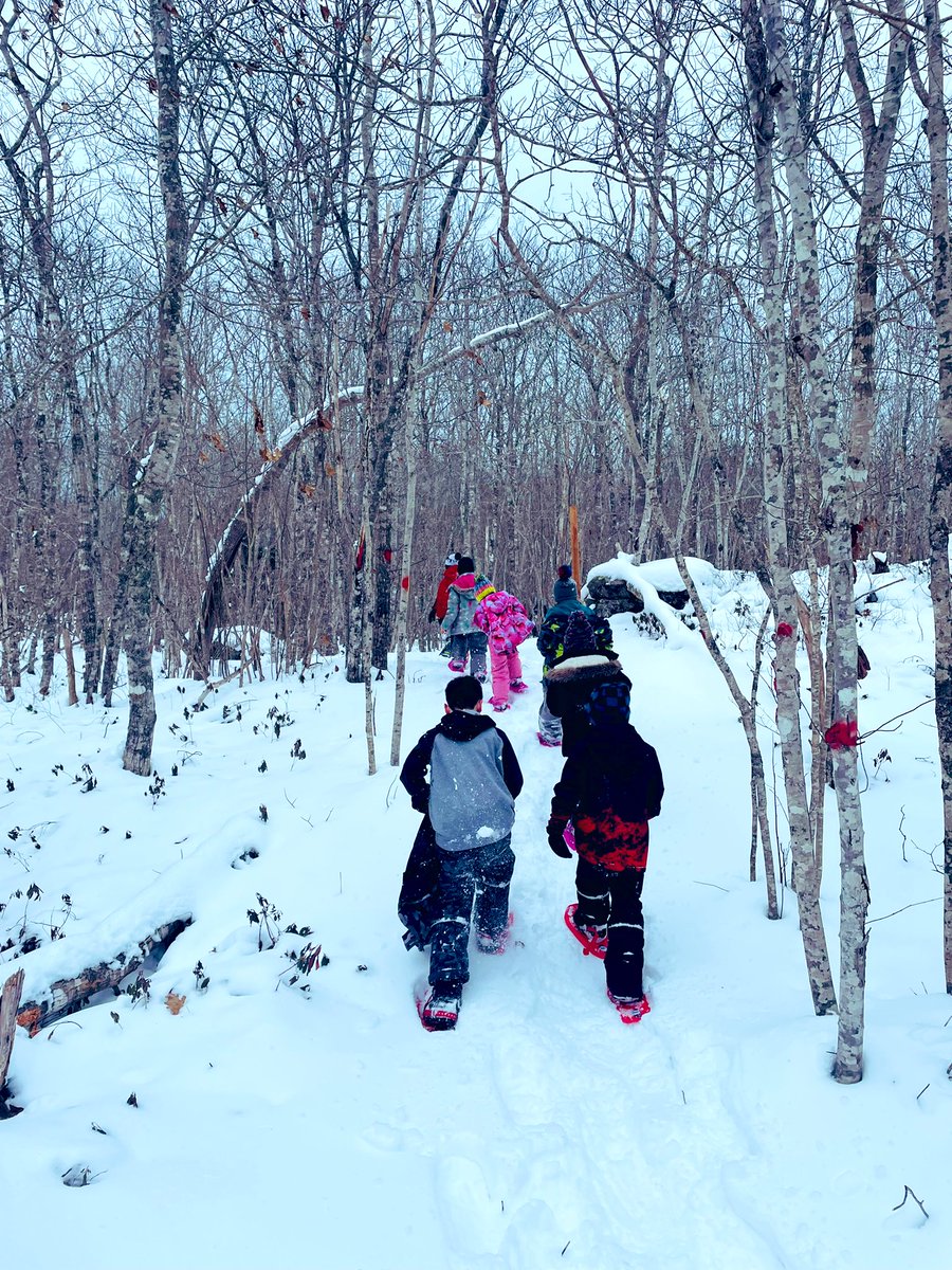 Our favourite mode of winter transportation <a href="/DrJCWickwireAca/">WickwireAcademy</a> #snowshoes #winter #active #culture #NS #GetOutside #friluftsliv <a href="/taphens/">taphens</a> <a href="/HikeNS/">Hike Nova Scotia</a>