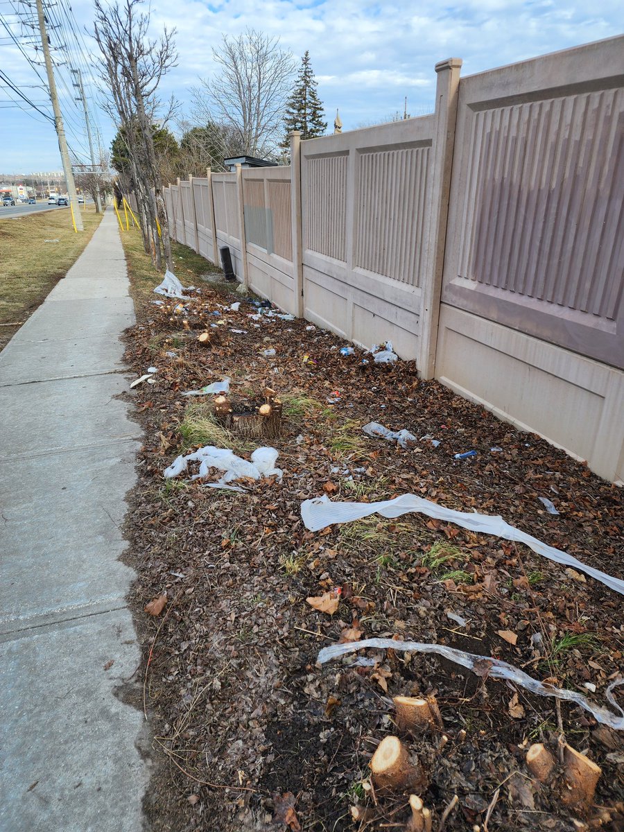 #CityofMississauga

Lots of litter on Dundas W at Dunwin south side. Just saying.