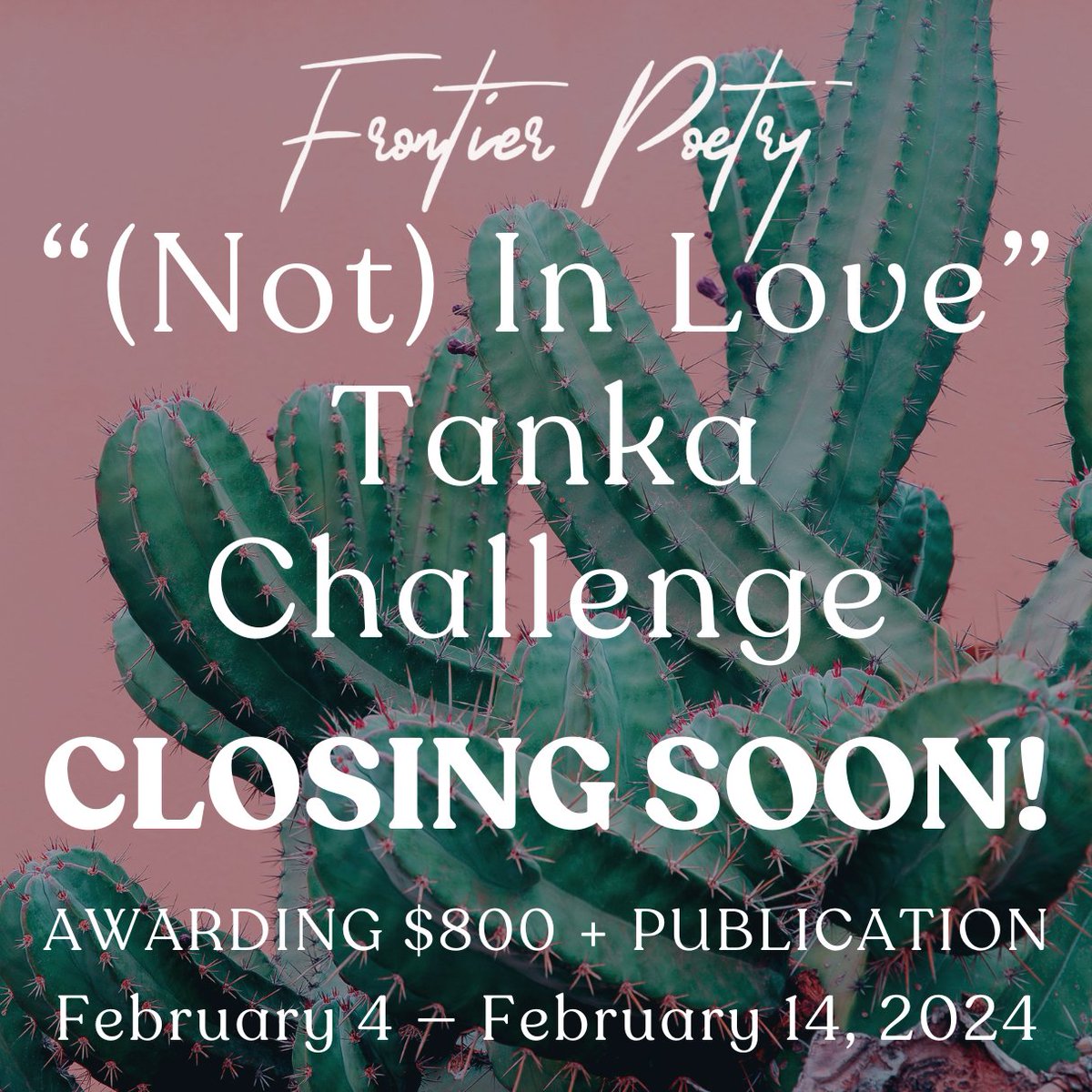 ONE week left to submit to our (Not) In Love Tanka Challenge! We invite you to share your most vulnerable work on the topic at hand, but in the form of a tanka. Send up to 5 tankas per submission. Deadline: February 14, 2024, 11:59 PM Pacific Learn more: frontierpoetry.com/poetry-awards/