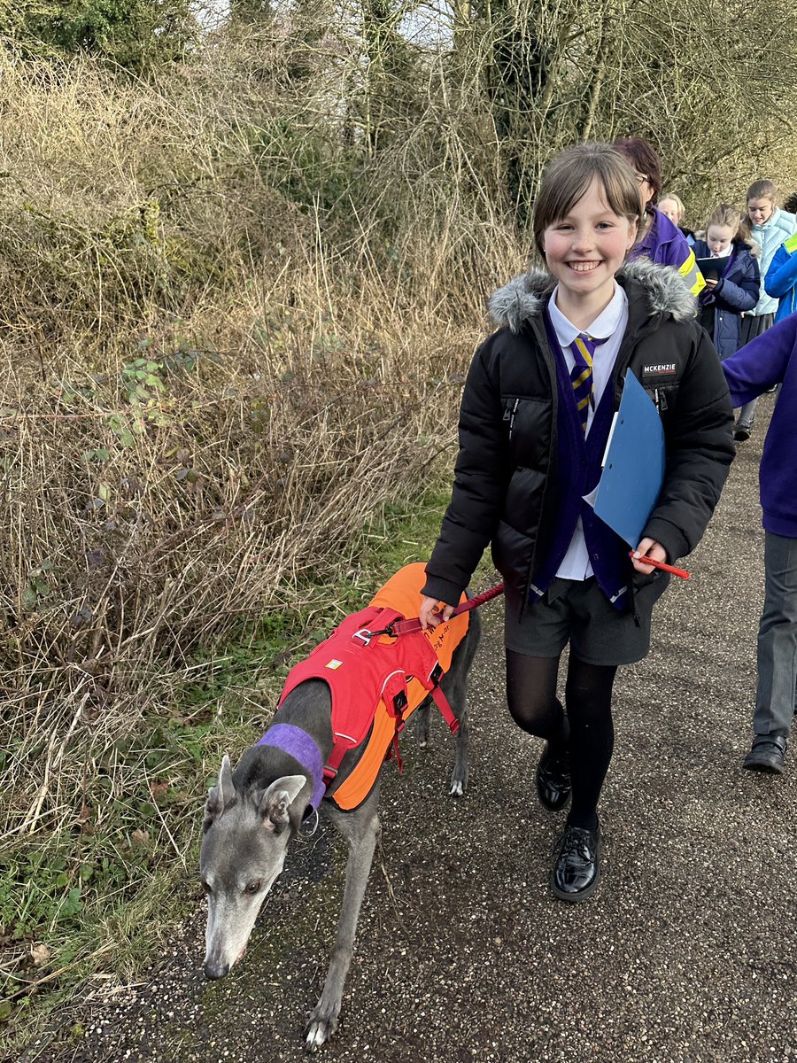 StAlbans_Sch's tweet photo. Year 6 (and Jacy!) enjoyed a walk around our local area observing and recording the different types of land use. #Year6 #MissP #localgeography https://t.co/MHVnFMRNM2