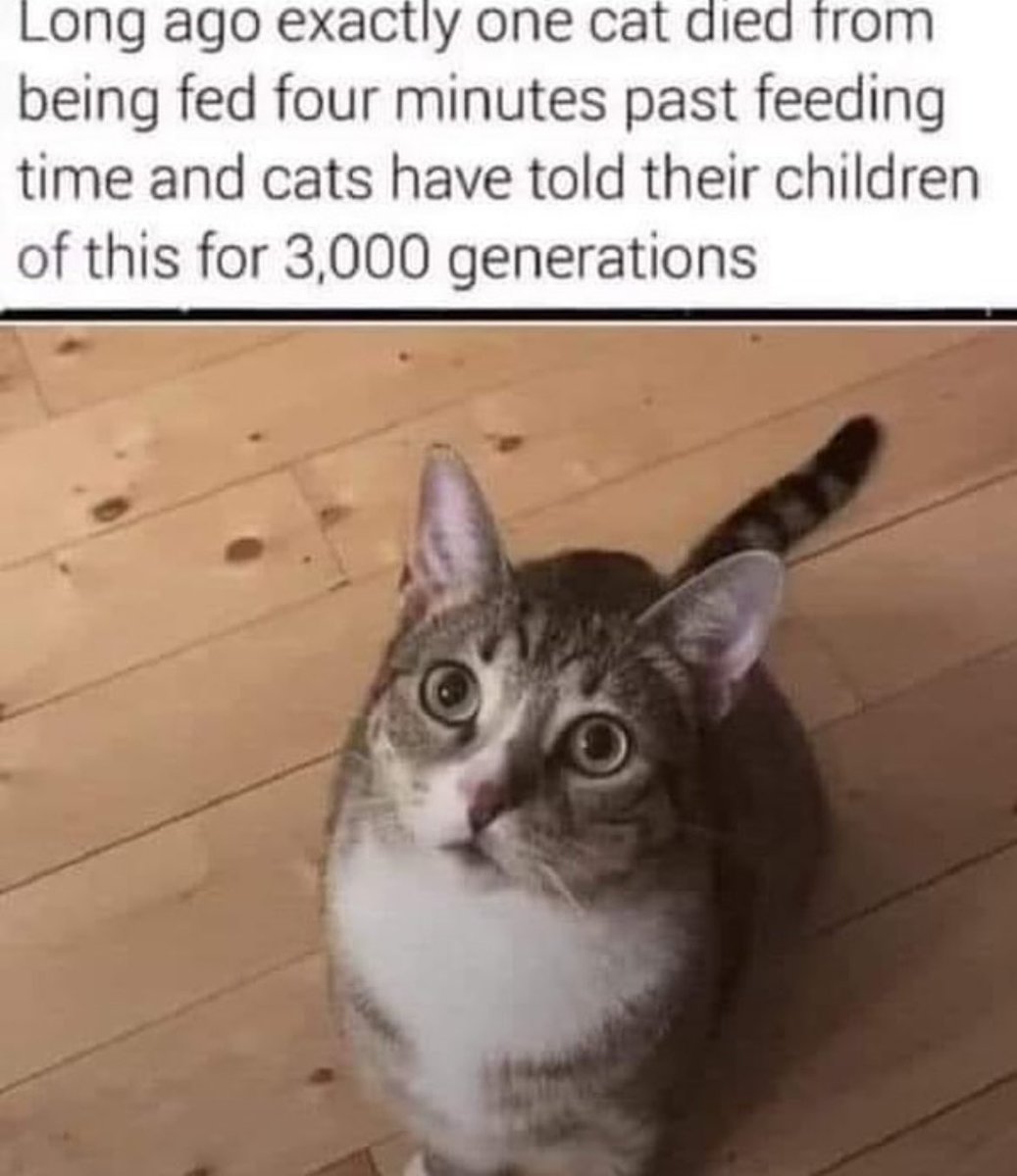 Nathan 🏴󠁧󠁢󠁥󠁮󠁧󠁿🇦🇺 44 10 (@nathannotlime) on Twitter photo 