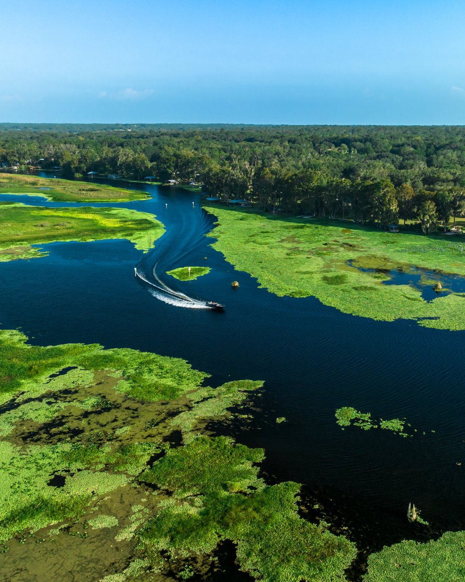 TackleWarehouse's tweet photo. The TW crew heads back to Florida with #JohnCox. First 🎥 VLOG Drops Monday 2/12!

[ #TackleWarehouse | #TWvlog 📍 Florida Swamps ] https://t.co/G0MsIqA99s