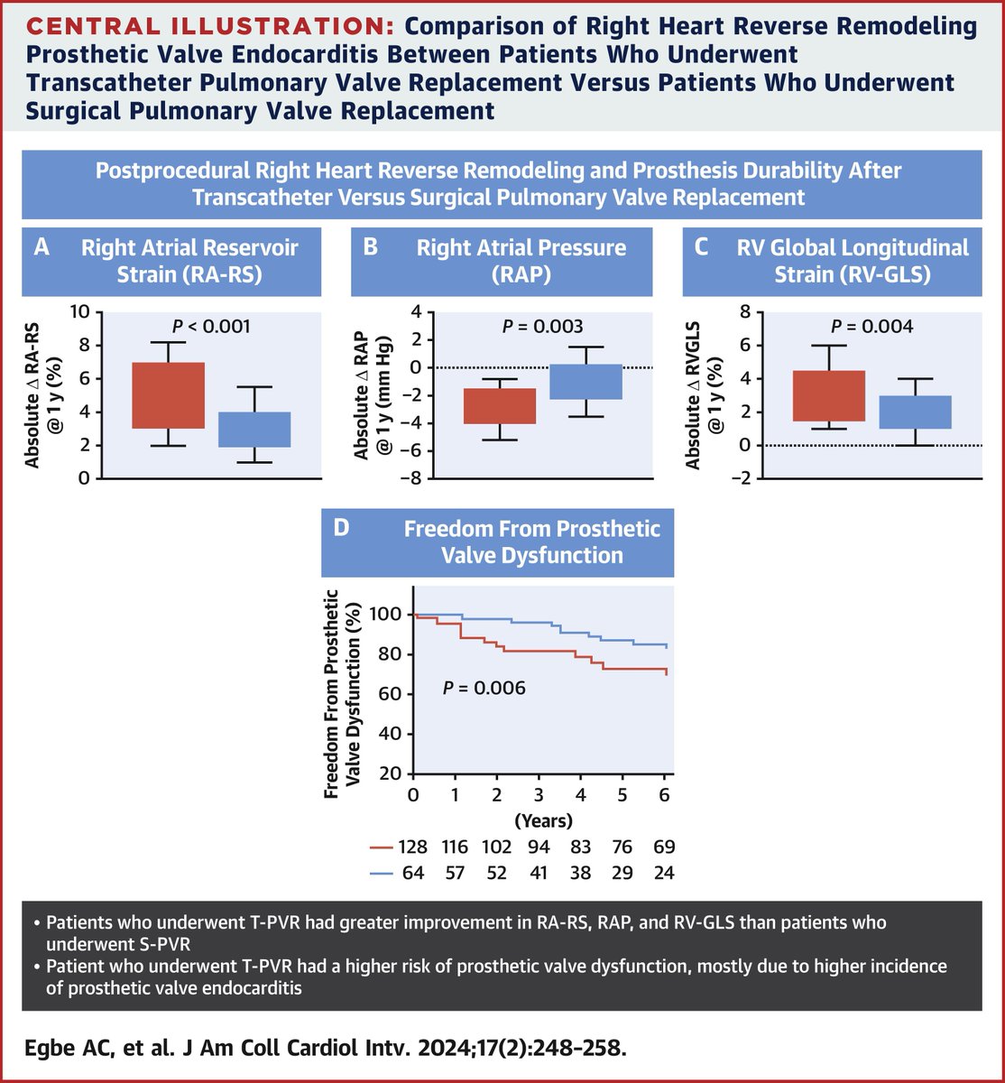 JACCJournals's tweet photo. Patients who underwent #TPVR had greater improvement in RA and RV systolic function compared with those who underwent #SPVR. However, the risk of prosthetic valve endocarditis and prosthetic valve dysfunction remains a major concern. https://t.co/Hxnt4AifmB #JACCINT https://t.co/V9SvpUlQG1