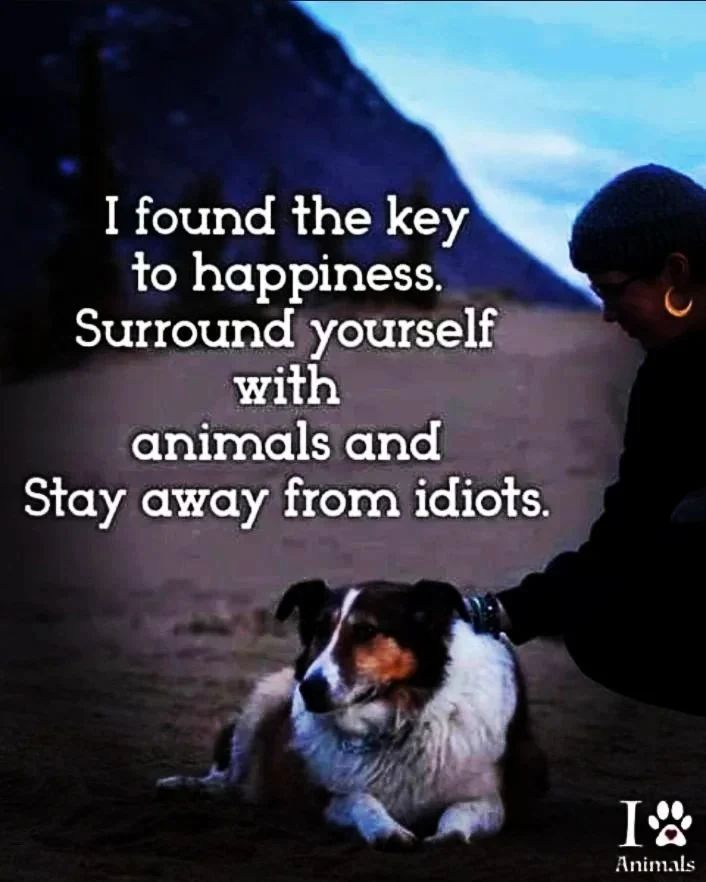Mydogluvsme_'s tweet photo. https://t.co/2ClwDq2Lsj