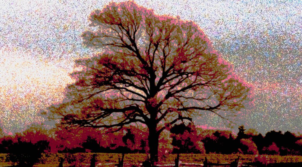 LIFTfilm's tweet photo. ๐ข๐ข๐ข Applications are open for this year's Independent Imaging Retreat, run by filmmaker and #LiftMember Philip Hoffman. "Film Farm" is an artist driven residency focused on #16mm experimental analogue #film works. Deadline is March 3, 2024.
Details: https://t.co/uV3EGMky4F https://t.co/bjNCtcpMUl