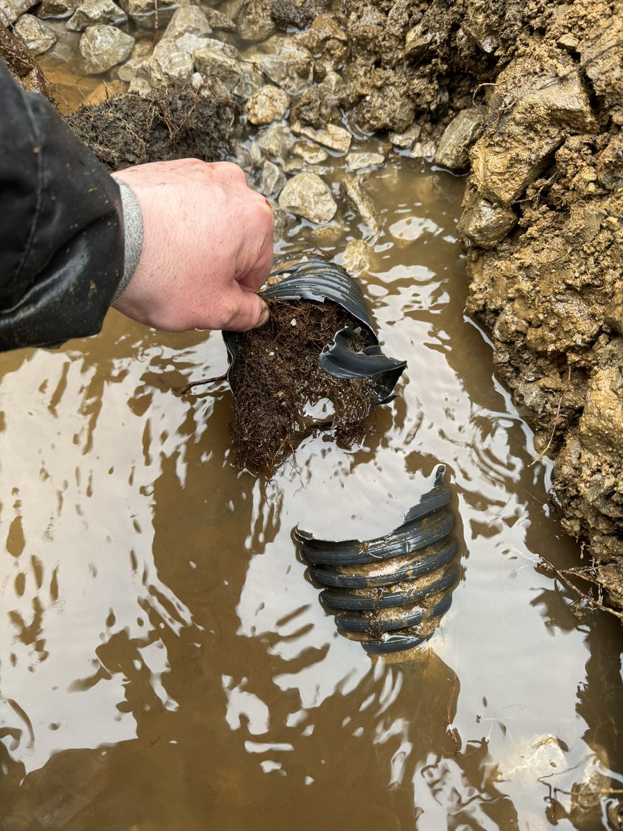 MelthamHG's tweet photo. JEEZ - We wanted to divert the new ditch outfall away from the 7th and into the main carry along and down the 6th to help dry up the 7th fairway. Looks like we found the problem for the wet spots on the 7th carry anyway. In for a penny, we ain’t giving up, it will be done! https://t.co/6nrcN4sYpw