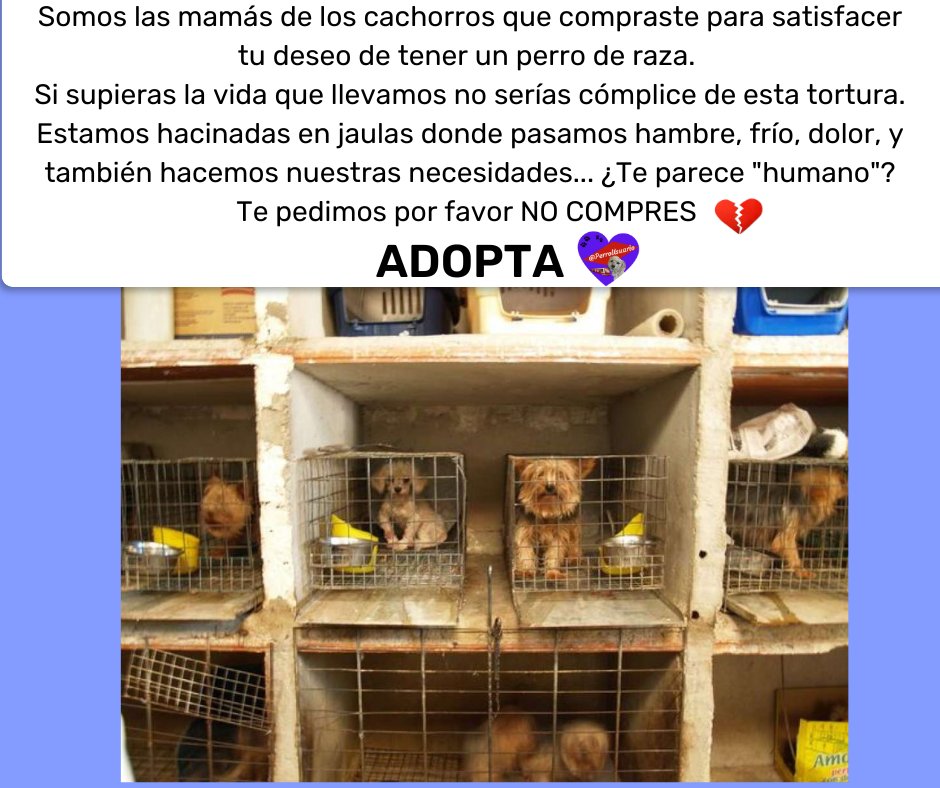 Una muy cruel realidad y lo peor es que seguirá sucediendo si seguimos comprando  😢