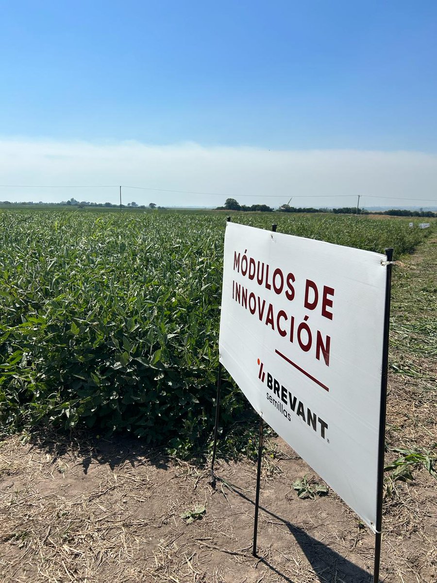 agroideas_sa's tweet photo. Parte del equipo de Maíz Plus presentes en el Primer Encuentro en el MIB en Oro Verde con FCA de UNER

Estuvimoa viendo comportamientos de Soja y Maíz Brevant, aprendiendo de situaciones de otra zona y revisando daños y recomendaciones en manejo de Spiroplasma
🙌🏻🌱🌽 https://t.co/Bon3w2ErAd